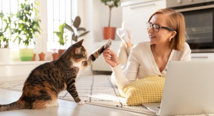 Día del Soltero: ¿Cómo es y para qué sirve el trámite de certificación de soltería en NL?