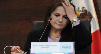 Los derechos seguirán vigentes pese a la eventual desaparición del INAI: Julieta Del Río