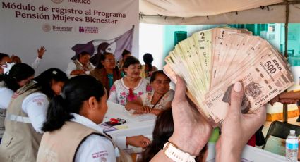 ¡Aún estás a tiempo! Continúa registro para la Pensión Mujeres Bienestar