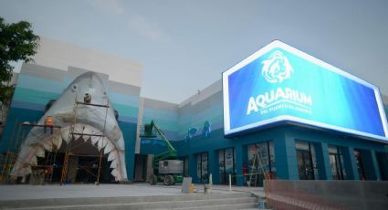 Aquarium del Puerto de Veracruz estrena colosal pantalla con impresionantes imágenes proyectadas