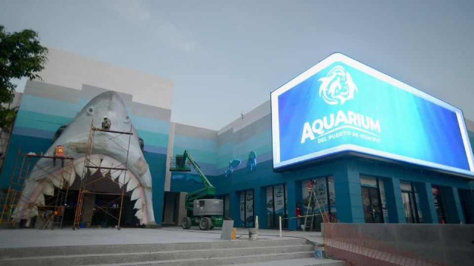 Aquarium del Puerto de Veracruz estrena colosal pantalla.