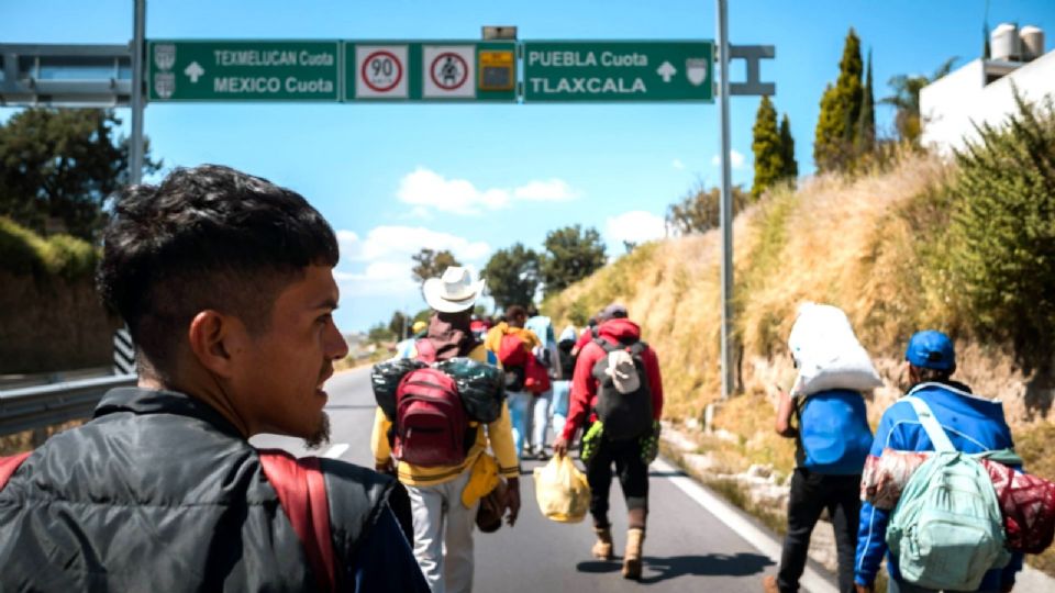 México concedió alrededor de 7 mil 100 permisos a estudiantes internacionales de nivel terciario.