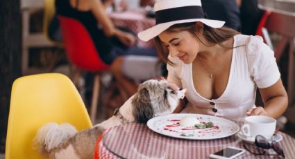 4 restaurantes y cafés pet friendly para disfrutar en Nuevo León