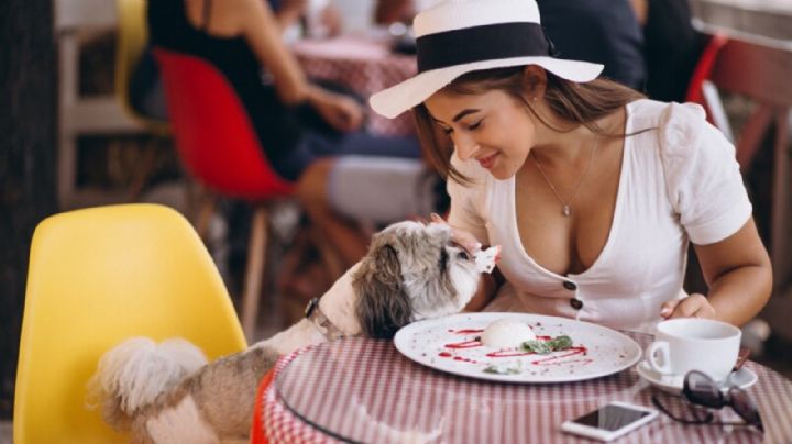 4 restaurantes y cafés pet friendly para disfrutar en Nuevo León