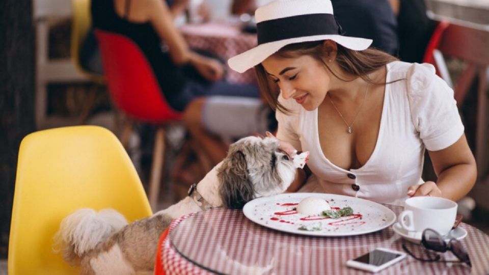 Monterrey es uno de los estados de México que se anima a aceptar mascota en sus restaurantes