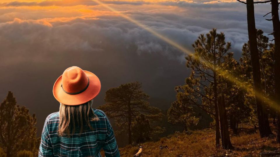 El Cerro Potosí es un sitio natural protegido en el municipio de Galeana, en Nuevo León.