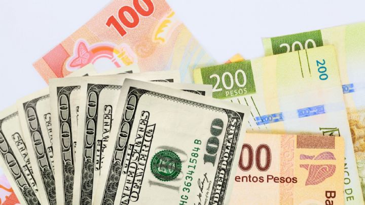 Precio del dólar hoy 19 de noviembre: Así cotiza hoy frente al peso mexicano