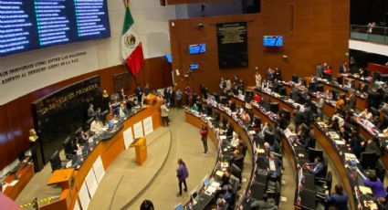 Senado avala por unanimidad reforma de protección y cuidado animal