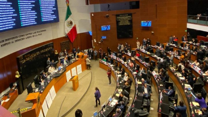 Senado avala por unanimidad reforma de protección y cuidado animal