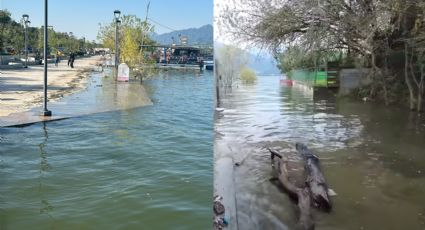 Presas a punto del desborde en Nuevo León, aquí el nivel de los embalses hoy 21 de noviembre