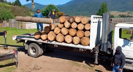 Profepa clausura 12 aserraderos en 13 zonas críticas forestales