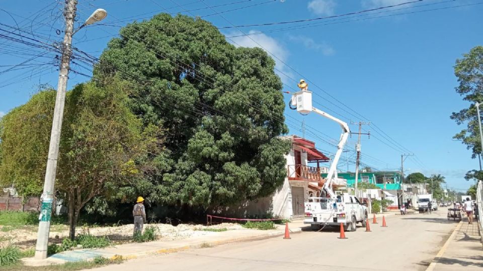 Los trabajadores de la CFE realizan labores de mantenimiento en la infraestructura eléctrica.