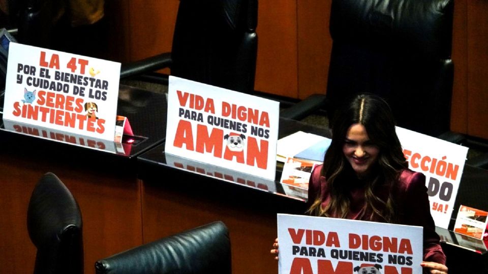 Aprueban reforma sobre cuidado animal en el Senado.