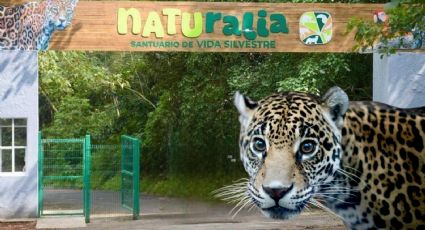 Naturalia abre sus puertas para impulsar la conservación y la educación ambiental en Veracruz