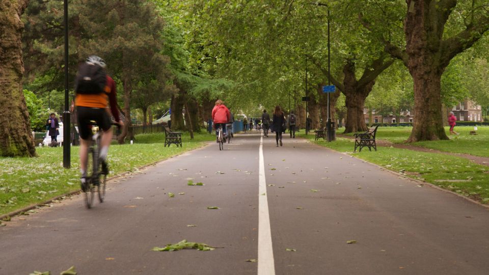 Ciclovías en Nuevo León: ¿Son útiles o no? Esto dicen los expertos