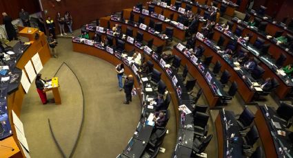 Partido Verde pide implementar medidas inmediatas para proteger derechos de las mujeres