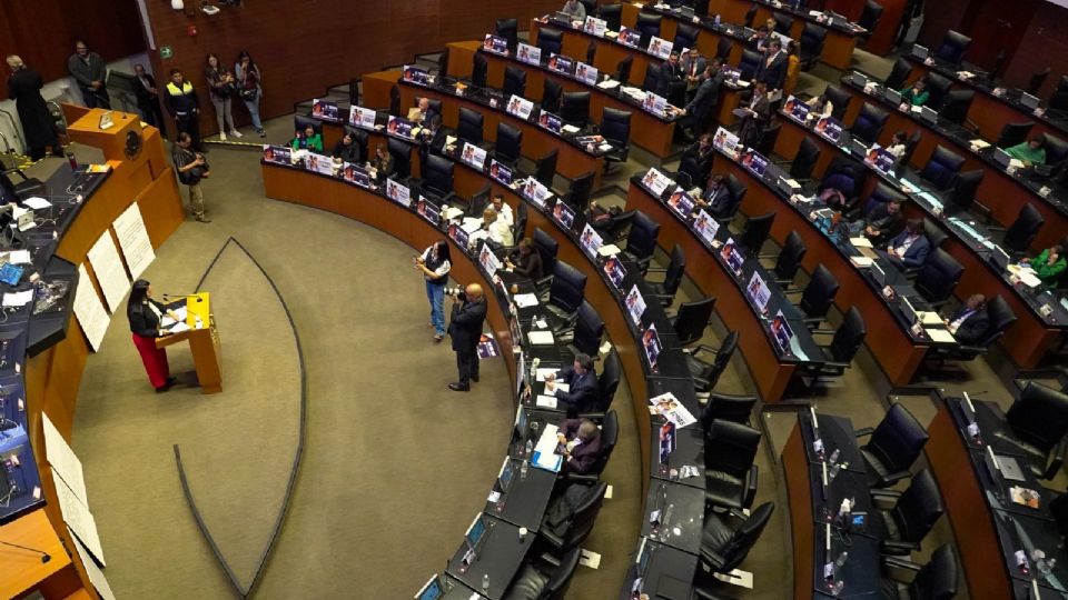 El Partido Verde pide impulsar acciones desde el Senado.