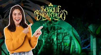 Bosque Encantado en NL extiende temporada: ¿Hasta cuándo está y en qué horario se puede visitar?