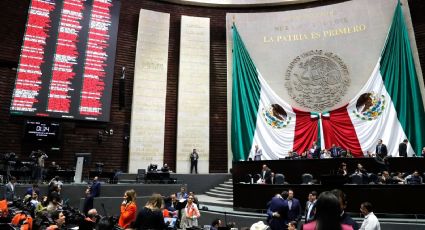 Diputados alistan confirmación de extinción de organismos autónomos