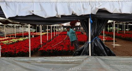 Congreso capitalino pide apoyar zona agrícola de Xochimilco afectada por las lluvias