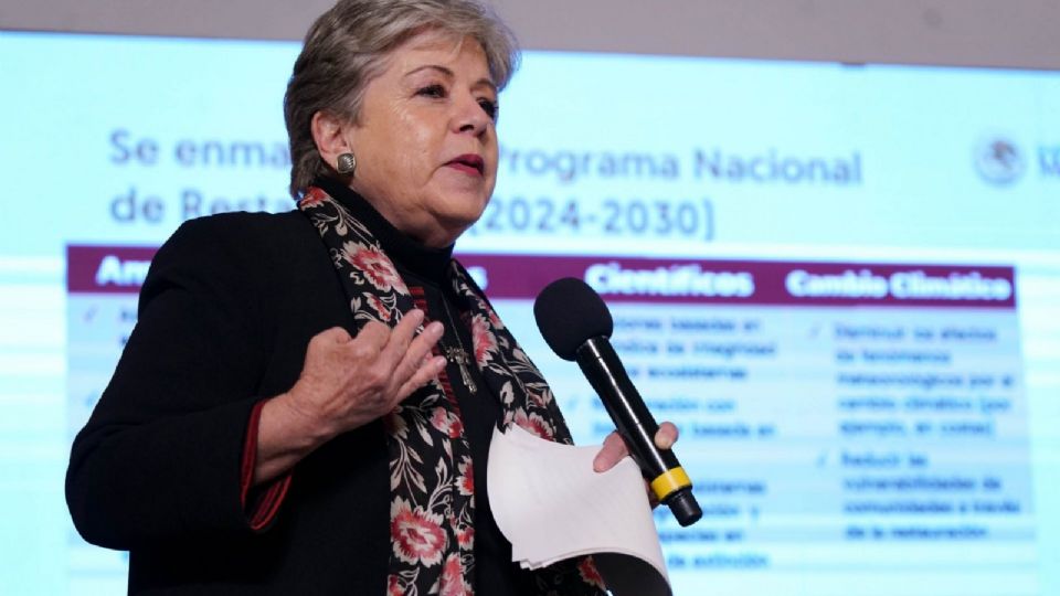 Alicia Bárcena Ibarra, garantizó que las comunidades afectadas serán apoyadas.