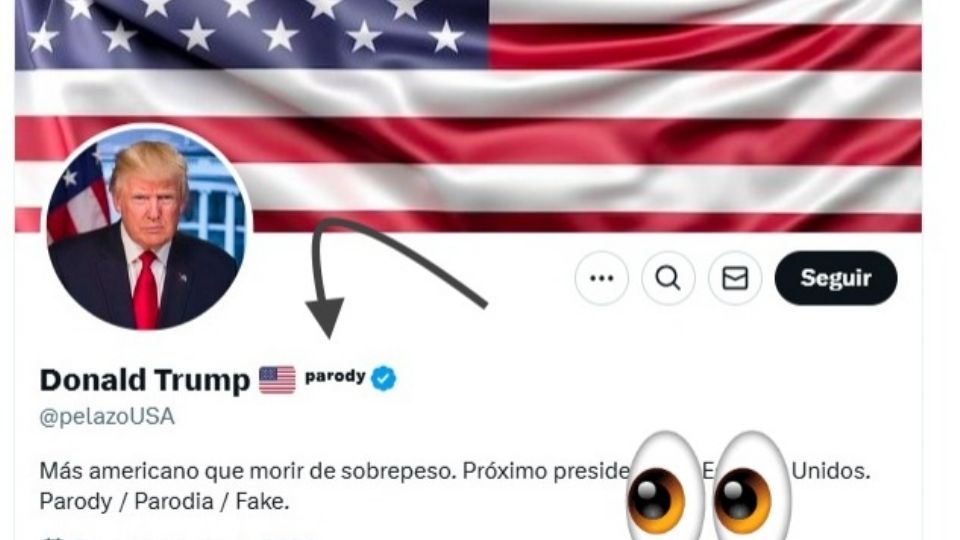 ¿Caíste en una cuenta fake en X? La plataforma etiquetará a aquellas que sean parodia