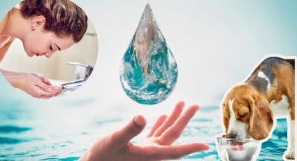 ¿Se puede prevenir la crisis del agua con tecnología? Esto dicen los expertos