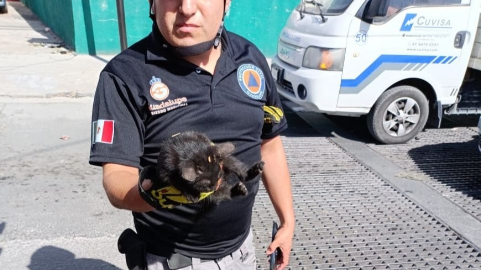 El rescate ocurrió en la avenida Ruiz Cortines, en Guadalupe.