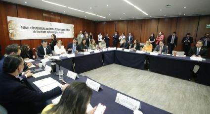 Senado aprueba terna para la CNDH en medio de críticas