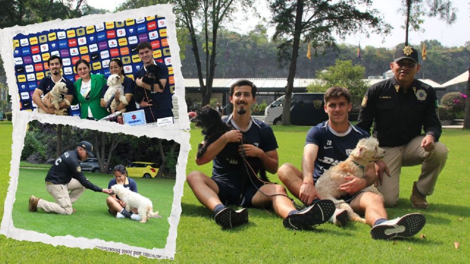 Los Pumas de la UNAM y la SSC invitaron a adoptar.