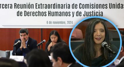 El Senado podría mejorar el trabajo de la CNDH, si eligiera perfiles idóneos: Tania Ramírez