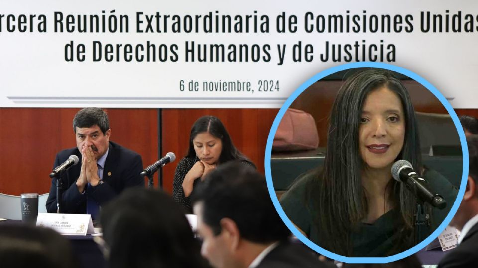 Tania Ramírez considera un agravio para la CNDH y al interés público que Rosario Piedra Ibarra repita en el cargo