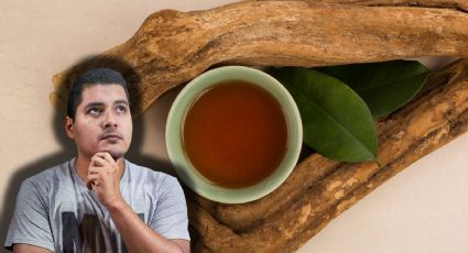 Ayahuasca: ¿Qué es y cuáles son los riesgos de consumirlo?