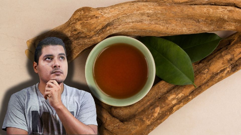 Ayahuasca: El enigma de la planta sagrada y sus riesgos.
