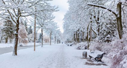 ¿Qué probabilidad existe de que caiga nieve en Monterrey?