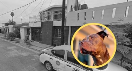 Perro ataca a niña y a abuela en San Nicolás; la menor se encuentra grave