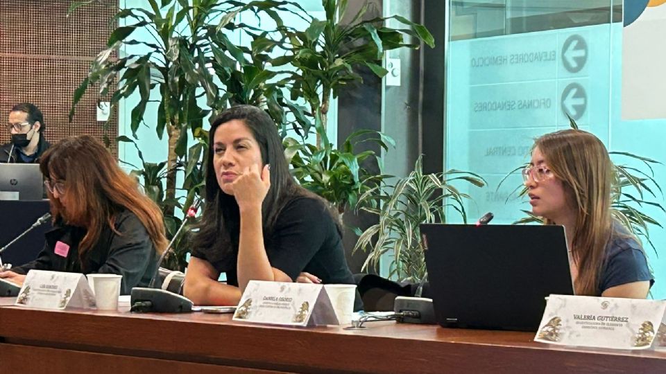 Lisa Sánchez, directora de México Unido Contra la Delincuencia.