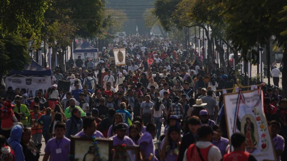 El dispositivo tiene por objetivo evitar el estacionamiento en doble fila y garantizar condiciones de movilidad a peatones y automovilistas.