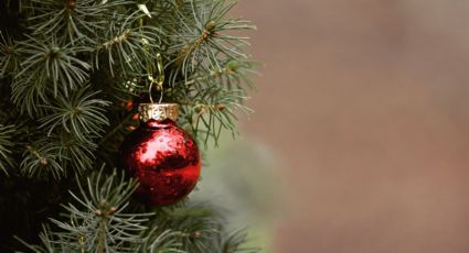 Árbol de Navidad: 7 consejos que te ayudarán a conservarlo y que no se seque tan rápido