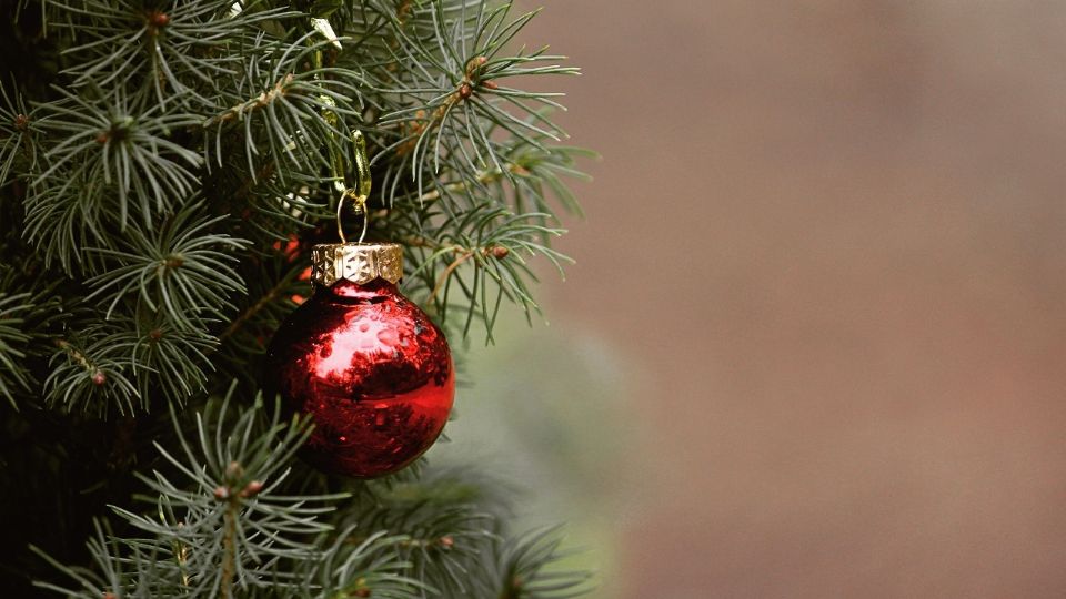 Árbol de Navidad: 7 consejos que te ayudarán a conservarlo y que no se seque tan rápido.