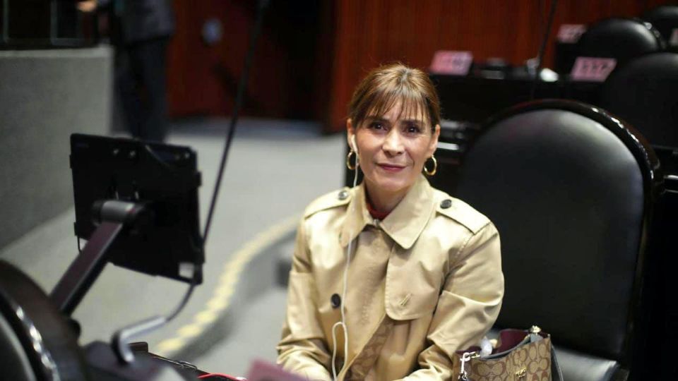 Maribel Martínez, diputada federal por el PT.