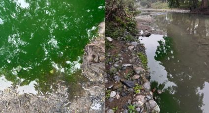 Guadalupe solicita apoyo federal ante contaminación en el Río La Silla