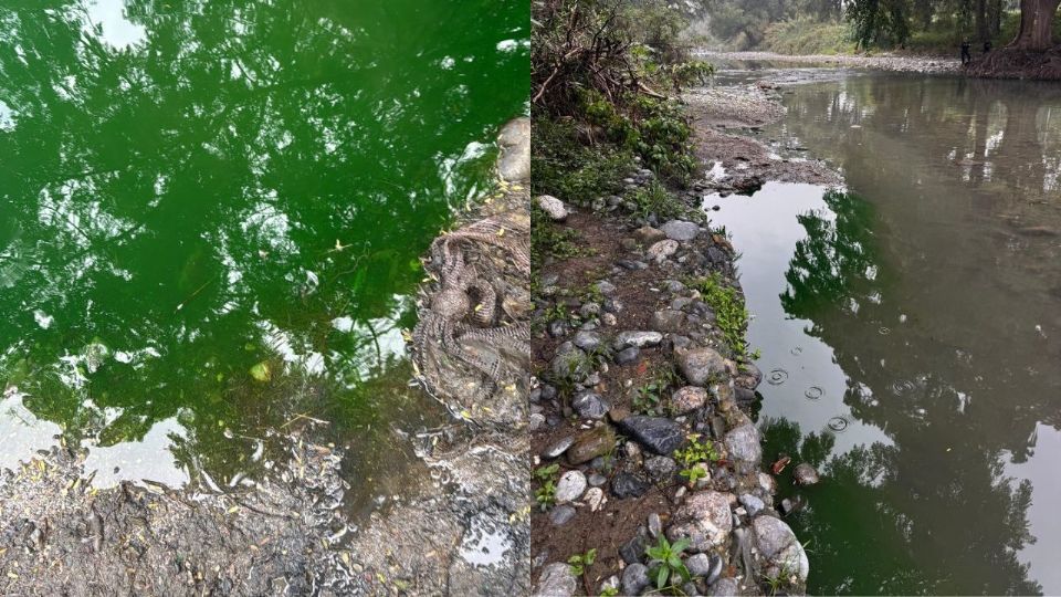 Aguas verdes en el Río La Silla en Guadalupe.