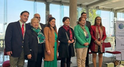 Otorgan Premio al Mérito Ambiental a Alicia Bárcena; no asistió a entrega por motivos de salud