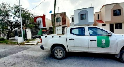 Clausuran puesto de taquero que agredió a perro en Apodaca