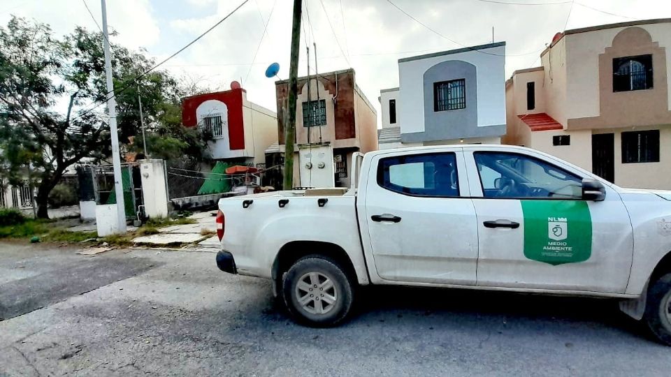 El personal de la Procuraduría Estatal de Medio Ambiente acudió al lugar donde presuntamente se dio muerte al perrito que buscaba comida.