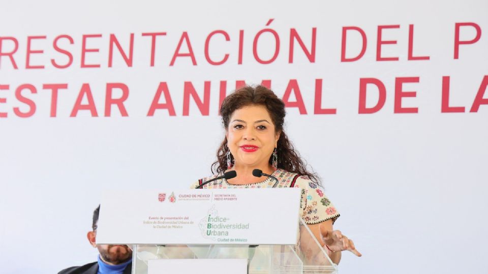 Además del hospital, se construirán 20 nuevas clínicas de atención animal en la ciudad  y 200 nuevos parques para perros.