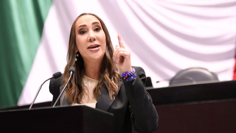 Noemí Luna, diputada federal por el PAN.