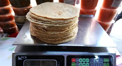 Realiza Profeco por primera vez monitoreo del precio de la tortilla