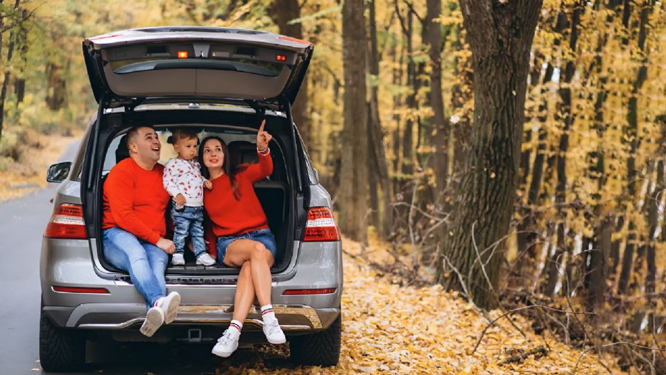 Te presentamos una guía para entender qué es una póliza de seguro de carro familia.